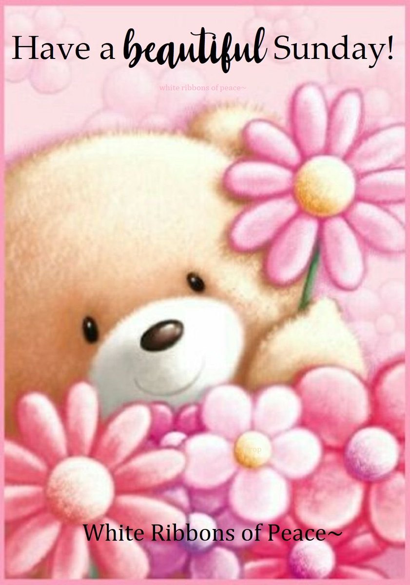 TY Pam, likewise. Have a beautiful and relaxing Sunday 😊🌺😘 #BatB #BeautyAndTheBeast
