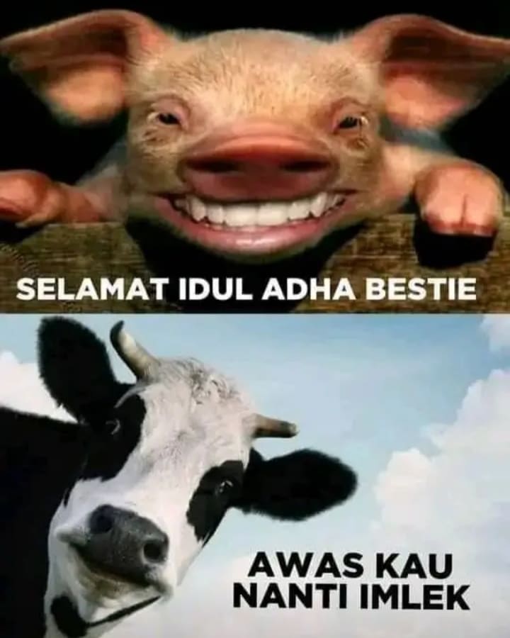 JuanXavier209's tweet photo. Selamat IDUL ADHA bestie😁😁
#IdulAdha2022 
#Iduladha1443H 
#IdulAdhaIndonesia https://t.co/tXgdCjssLI