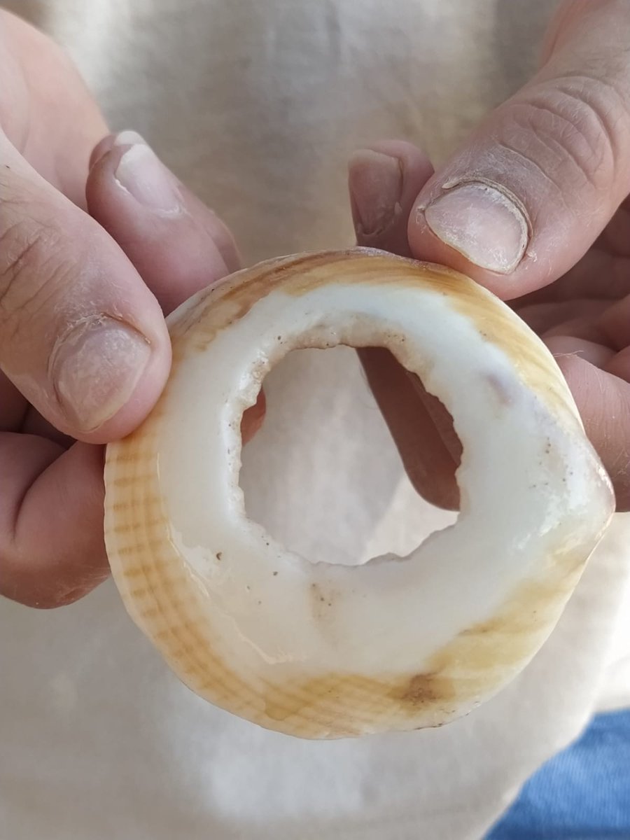 tonicuevas97's tweet photo. Bueno pues os voy a enseñar parte de mi tfm, donde acabo de replicar un minibrazalete en concha https://t.co/TEVpBPPp6N