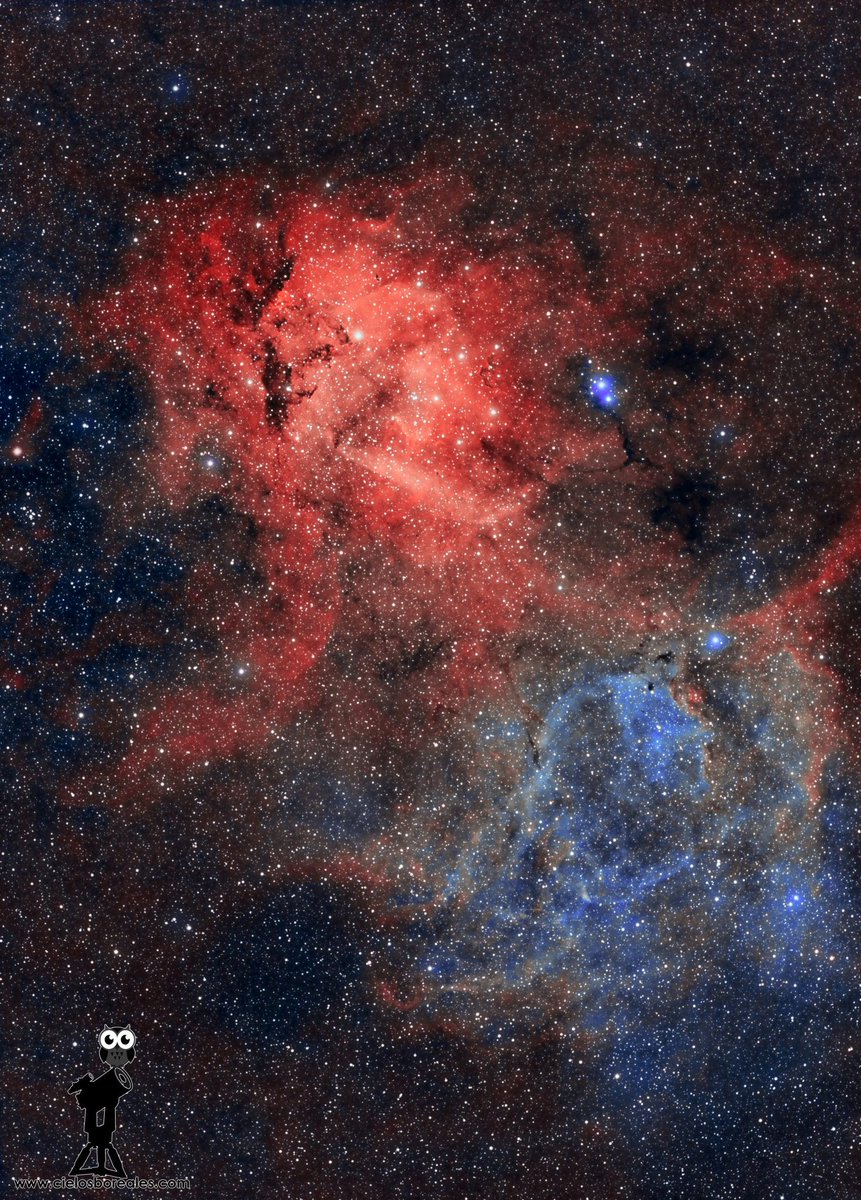 CielosBoreales's tweet photo. ¿Qué ofrezco en esta cuenta? Fotos del espacio, noticias de astronomía, consejos para ver el cielo, artículos de mi web, avisos de mis directos en Youtube y mucho más ¿Me ayudas con un RT para que tus followers me conozcan? ¡Gracias! https://t.co/2j7PAch34v