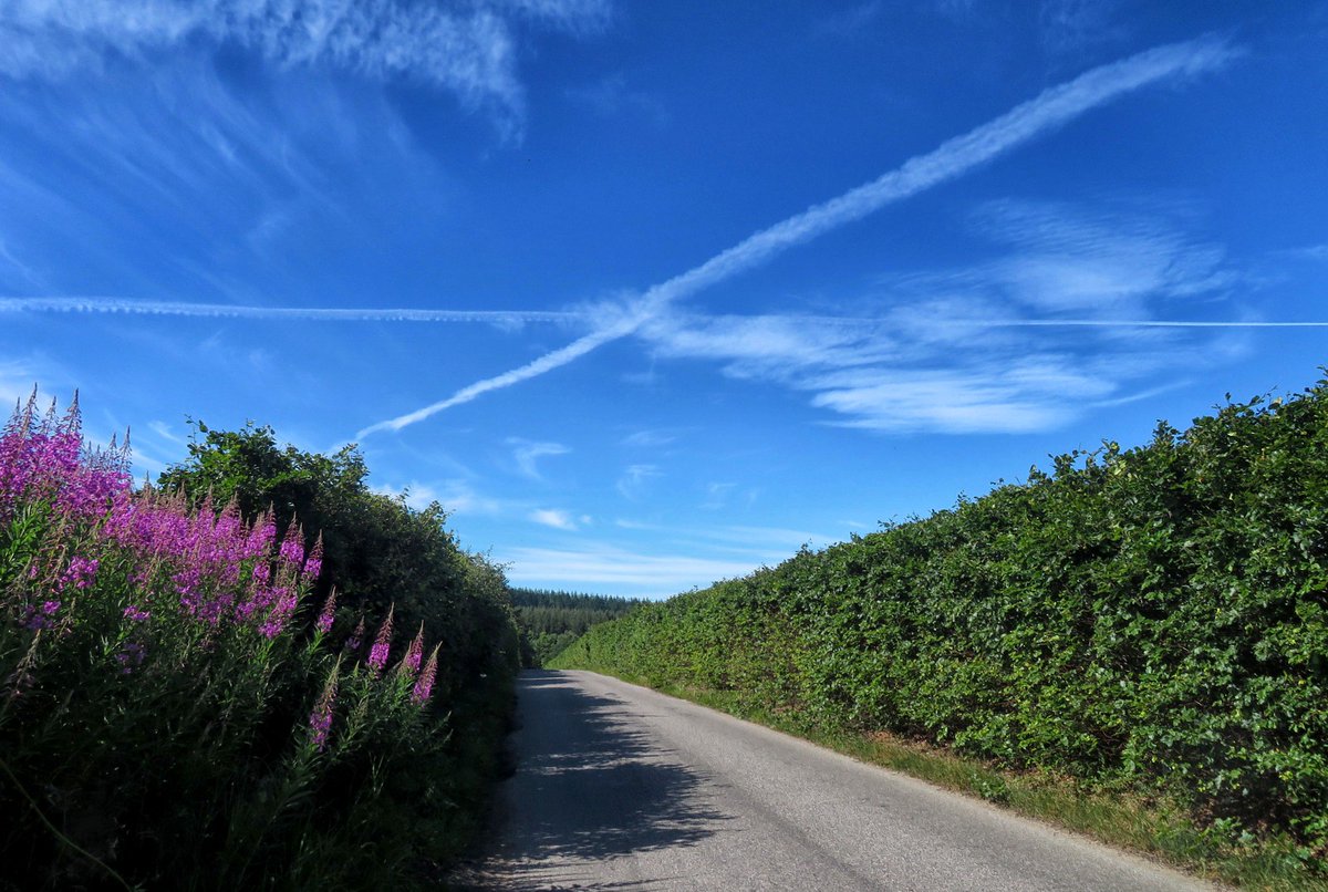 Doric_Cycling's tweet photo. Cycling Scenes of Aberdeenshire 🏴☀🔥🚴♀️
#Cycling #Durris #Aberdeenshire #Saltire #Scotland https://t.co/qChAcorRvl