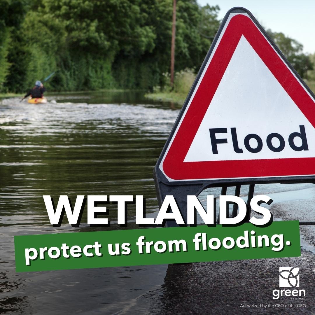 Nature cleans our air &amp; water, improves our #MentalHealth, keeps our cities cool, and protects us from flooding. 

And it does it all for free if we don't pave over them! 

#ProtectNature #ActOnClimate #onpoli