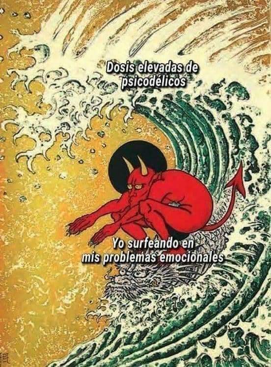 BreakinGatos's tweet photo. Surfeando https://t.co/4punAVy02Z