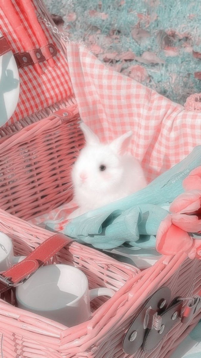 JXZMEN_'s tweet photo. คลั่งรักน้อนกาตุ่ยย🐰💓 https://t.co/9EPpiPp8m0