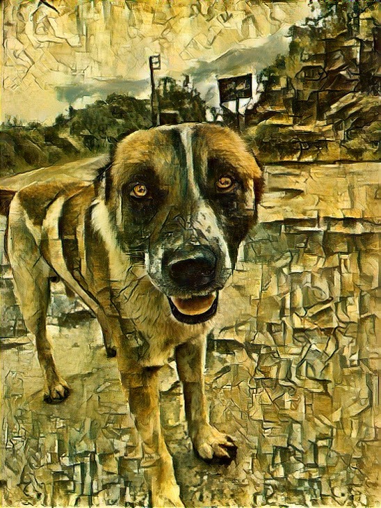 Hi fam💙

🟦Tiger🟦

I want to introduce you to Hairy's Father...🐶

👇My Link on <a href="/objkt/">objkt</a>
objkt.com/asset/KT1EkyBo…

➖
#NFT #Objkt #NFT_Shill #Dog #NFTPLUS #tezos #Tiger #NFTCommunity #animallovers #xtz #nftart #photographer #NFTs #NFTCommunity #NFTCollectors #NFTSPACESHIP #TNTNFT