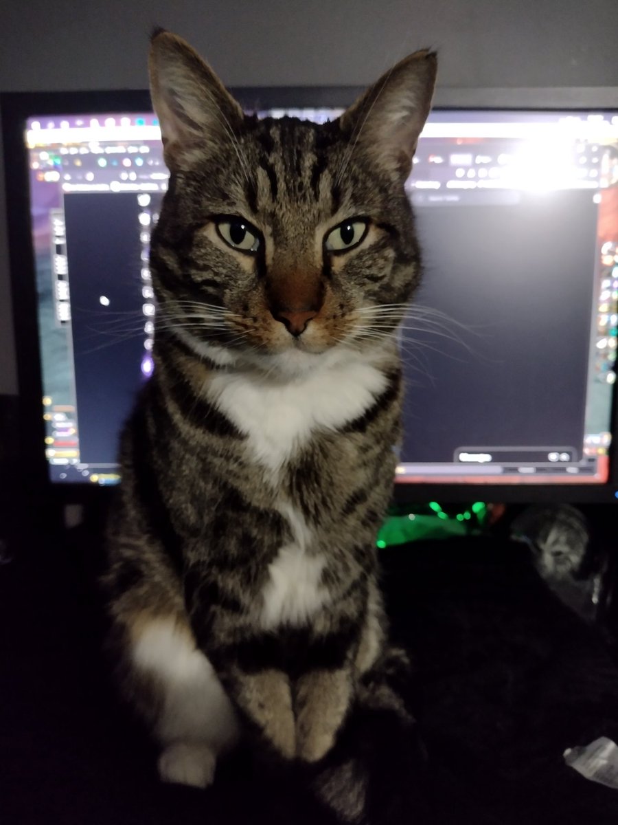 Oh...did you want to use the screen?