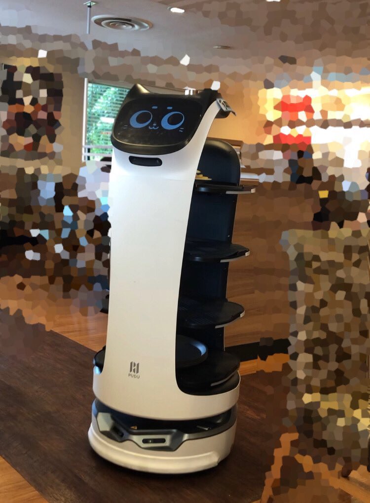 ネコ型ロボットどこだ様専用-