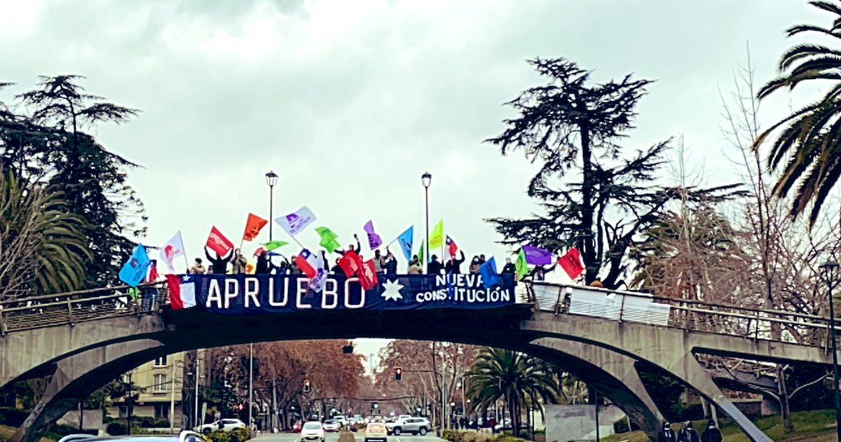 luisibacache_'s tweet photo. Muy precisa una frase que leí y que reduzco a una pregunta ¿ Por qué sólo los que estamos por el #Apruebo llamamos a leer la #NuevaConstitucion ? 
#AprueboFeliz https://t.co/WM28j5v8W3