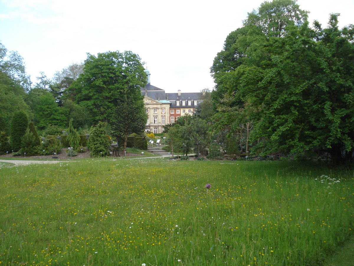 Professorship (W3) in Evolution of Plant Biotic Interactions @WWU_Muenster. Apply to join our faculty until 30th of September! Please RT. uni-muenster.de/Rektorat/Stell…