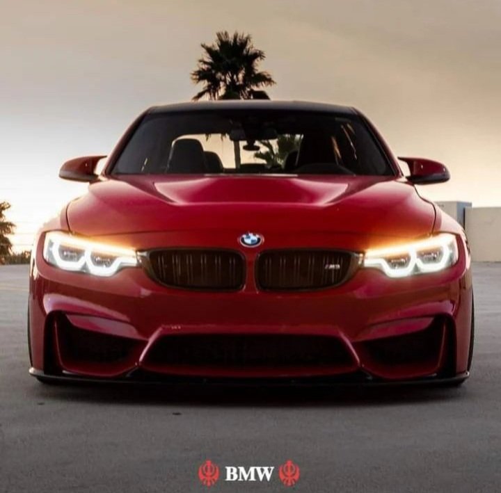 alseed ehab (@alseedehab1) on Twitter photo 