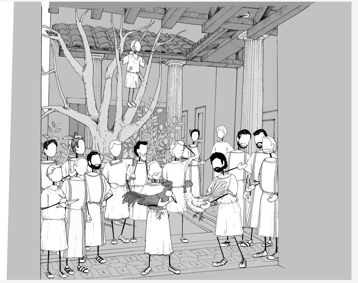 CarolineLawrenc's tweet photo. Still on #AncientChickens... here is a stunning illustration of a cockfight by @LEJenksBrown from our #Amarantus book. Bones of 2 cockerels were found in a Pompeian winebar garden, carefully buried in a special box. Inspired by @AgainstLore podcast: https://t.co/CekHFce7Fr https://t.co/ly2x2Fhg1E
