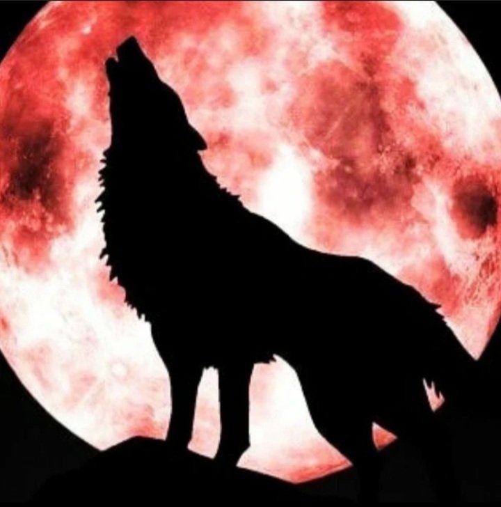 alseed ehab (@alseedehab1) on Twitter photo 