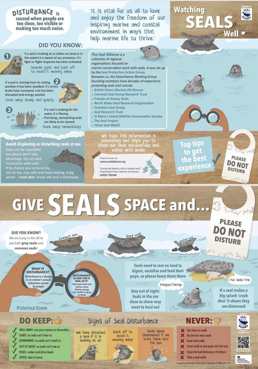 Katie Tunn 🇺🇦 tweet media