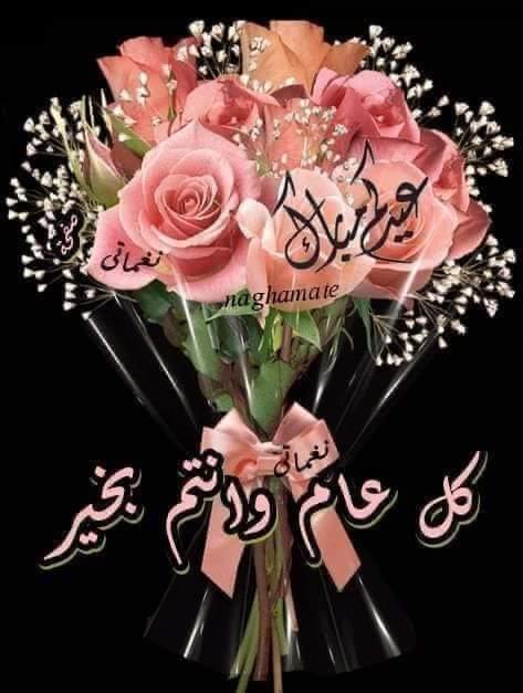 sgtrhyte's tweet photo. @msmemo1892 https://t.co/IN2y4UgurV