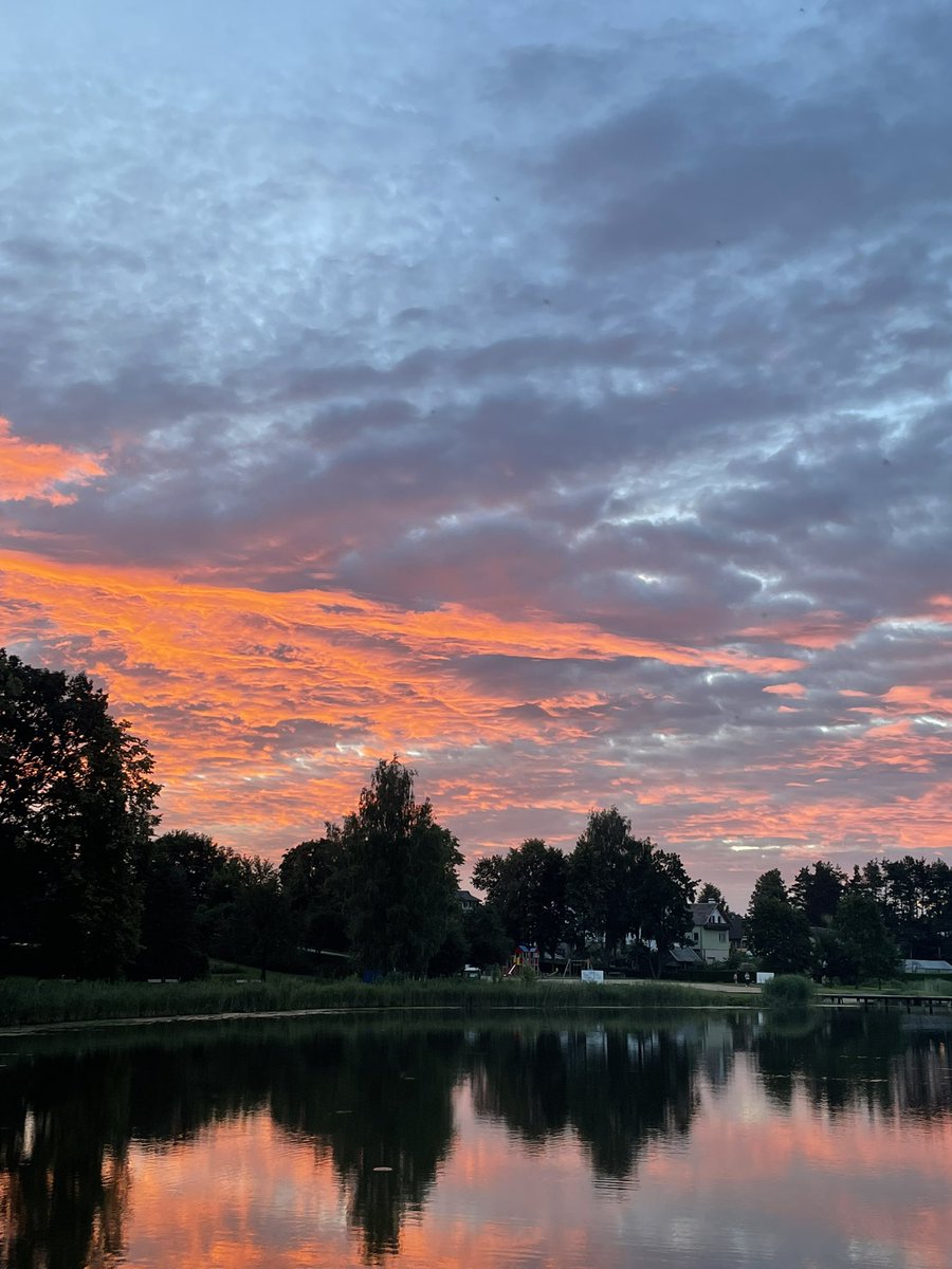 MatrixRunner3's tweet image. Get off your phone sometime so you won’t miss sights like these.🌤