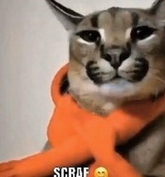 1 stw founder code for 180$ only for crypto 
first comes gets served