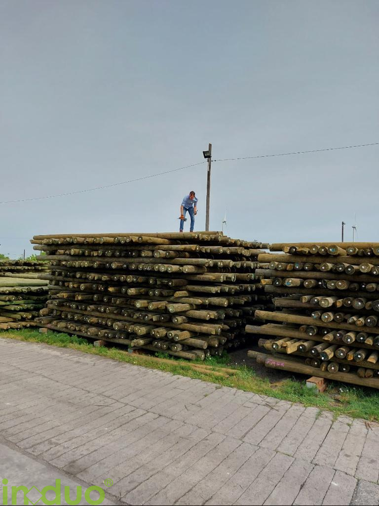 induo.de

#woodpoles #wood_poles #induo #madeningermany #woodpolesupplier #holz #picoftheday #germany #telefonmasten #stromleitung #supply #purchase #industrie #holzbau #timber #infrastruktur #infrastructure #telephone_poles #utilitypoles