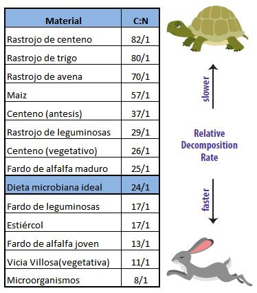 titantorreagro's tweet photo. La cobertura se transforma en MO. 
Conoces cual es la relación Carbono Nitrógeno ideal?
C:N = 24 : 1
Esa relación determina que por cada unidad de Nitrógeno, necesito 24 unidades de Carbono en el suelo para que el Nitrógeno "mineralice" de lo contrario quedará "inmovilizado". https://t.co/4x3DVVpm5G