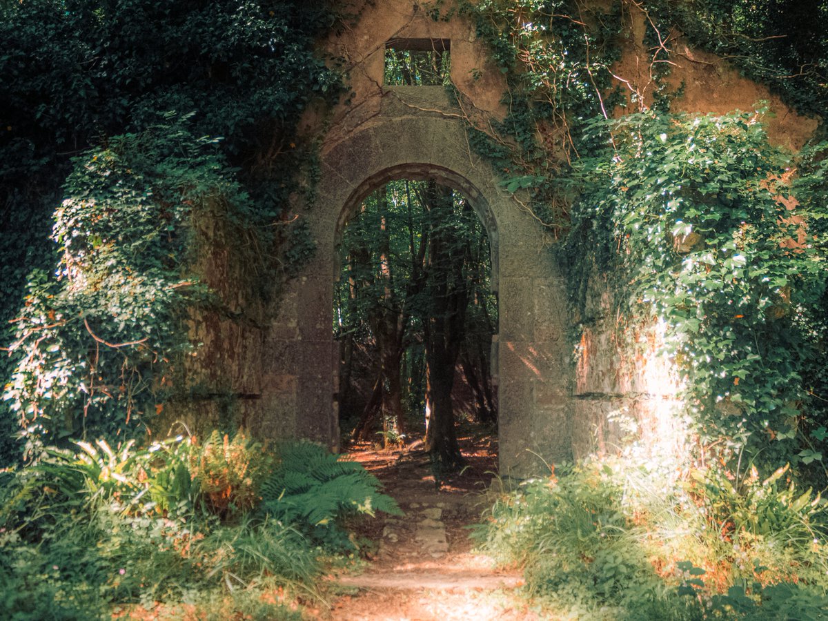 artofseanmurphy's tweet photo. Where Adventure Can Be Found https://t.co/DDG07bx1PV