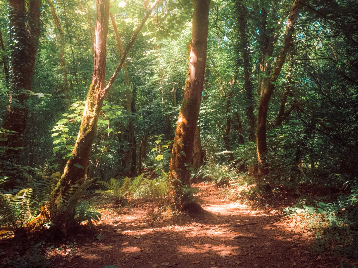 artofseanmurphy's tweet photo. Where Adventure Can Be Found https://t.co/DDG07bx1PV