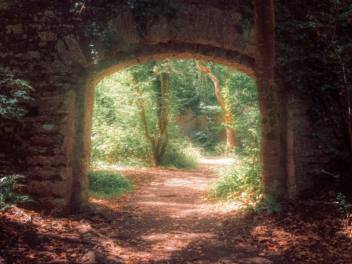 artofseanmurphy's tweet photo. Where Adventure Can Be Found https://t.co/DDG07bx1PV