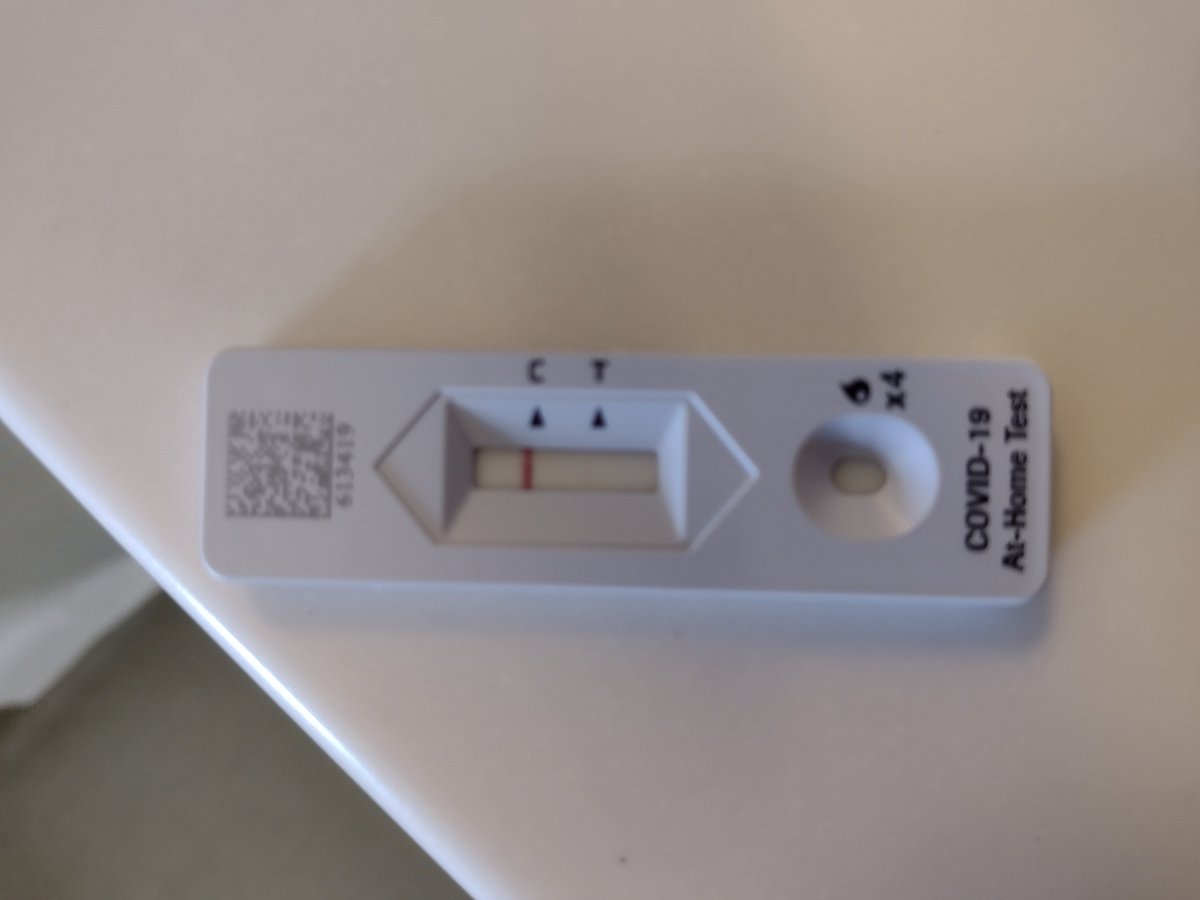 Jamie Tayar tweet media