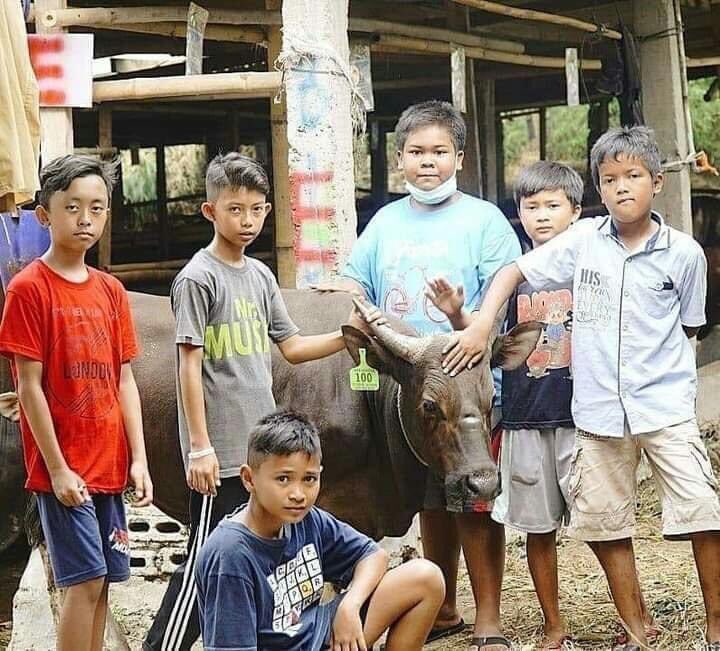 txtdaribogor's tweet photo. keren, adik-adik ini menabung selama 10 bulan dari uang jajannya untuk membeli sapi seharga 20jt dengan kolektif 7 orang. 

panas-panasan naik angkot dari pasar anyar ke dramaga bogor🥰 https://t.co/RMhqipe3vl
