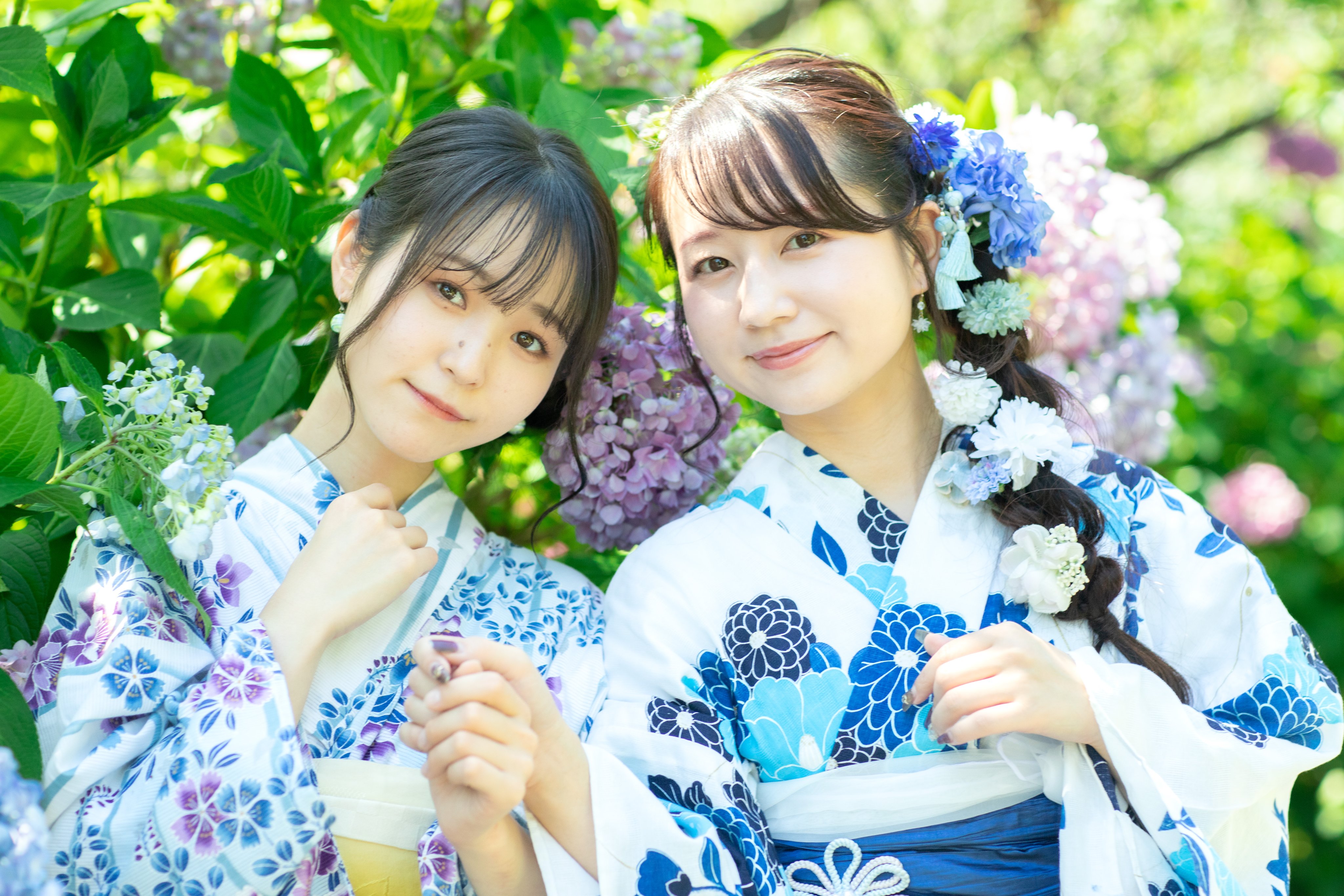 京都美人 Twitter Search Twitter