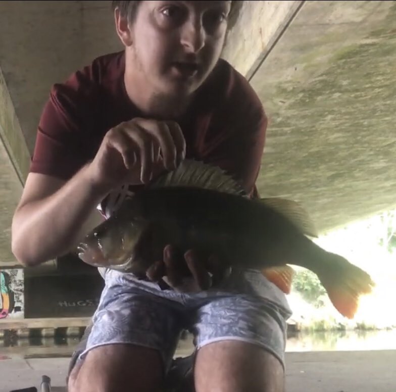 100GWFishing's tweet photo. 5 days later and I’m still buzzing from catching a 2lb13oz perch on a lure!

#100GWFishing #fishing #angling #angler #fisherman #predatorangler #perchfishing #lurefishing #lureangler #riverfishing https://t.co/DesAI1NxsH