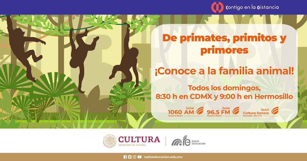 RadioEducacion's tweet photo. Empieza la #BarraInfantilRE 👧🏻🧒🏽

🦒 Te invitamos a dar un paseo por el mundo animal con De primates, primitos y primores 🐵🍌

Descubramos las aventuras que nos tienen preparadas en este domingo 🦥🐟🦎

⏰ Hoy a las 8:30 h
📻 1060 AM, 96.5 FM https://t.co/zuyL6Vpye9