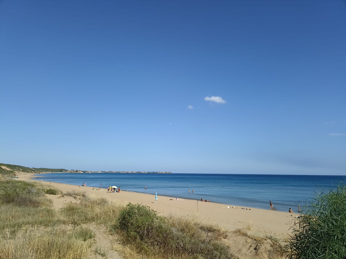 Sarita_Libre's tweet photo. Qui in Calabria sono in un campeggio 🏕️ immerso nella natura di #CapoRizzuto, su una spiaggia dove nascono i gigli e nidificano le tartarughe. Si chiama #AnotherBeach e, sì, è diverso dai soliti posti. https://t.co/7HguL1QcoP