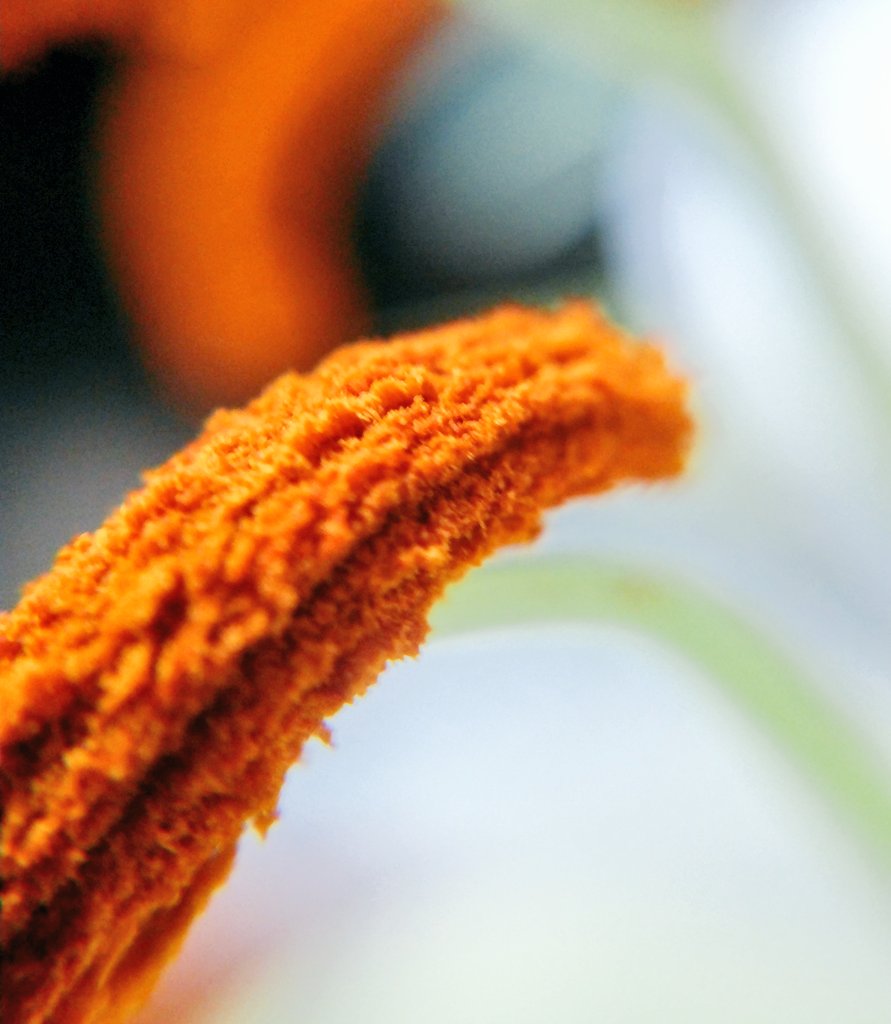 Jian Jianmiyou Twitter