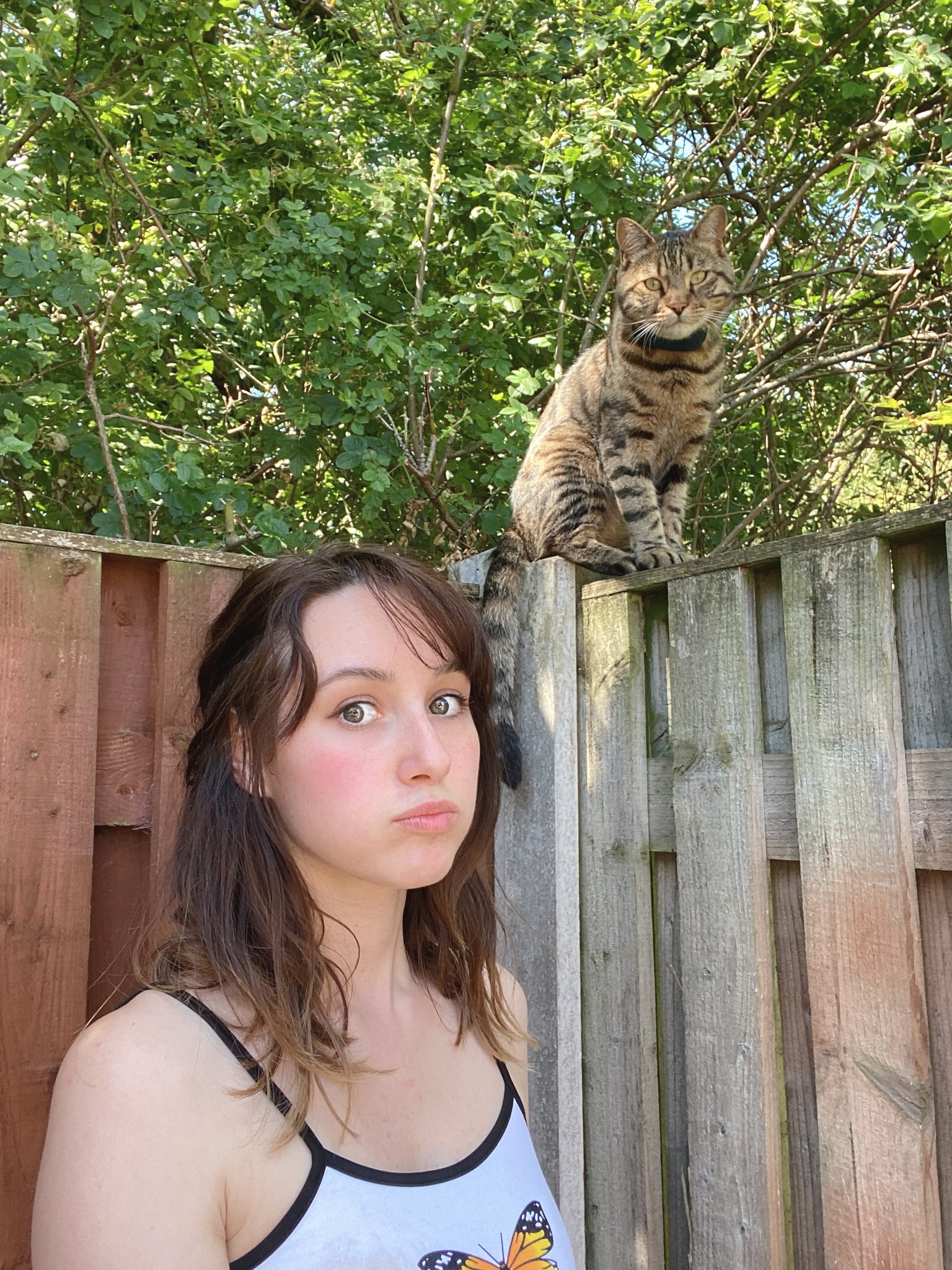 TW Pornstars - 🌸 Kirsty Everdeen ४ 🌈. Twitter. Too hot, what do? #