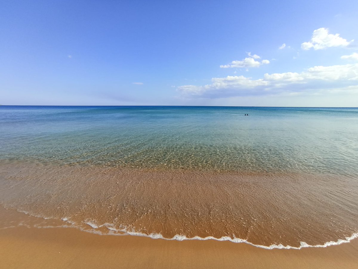 Sarita_Libre's tweet photo. Qui in Calabria sono in un campeggio 🏕️ immerso nella natura di #CapoRizzuto, su una spiaggia dove nascono i gigli e nidificano le tartarughe. Si chiama #AnotherBeach e, sì, è diverso dai soliti posti. https://t.co/7HguL1QcoP
