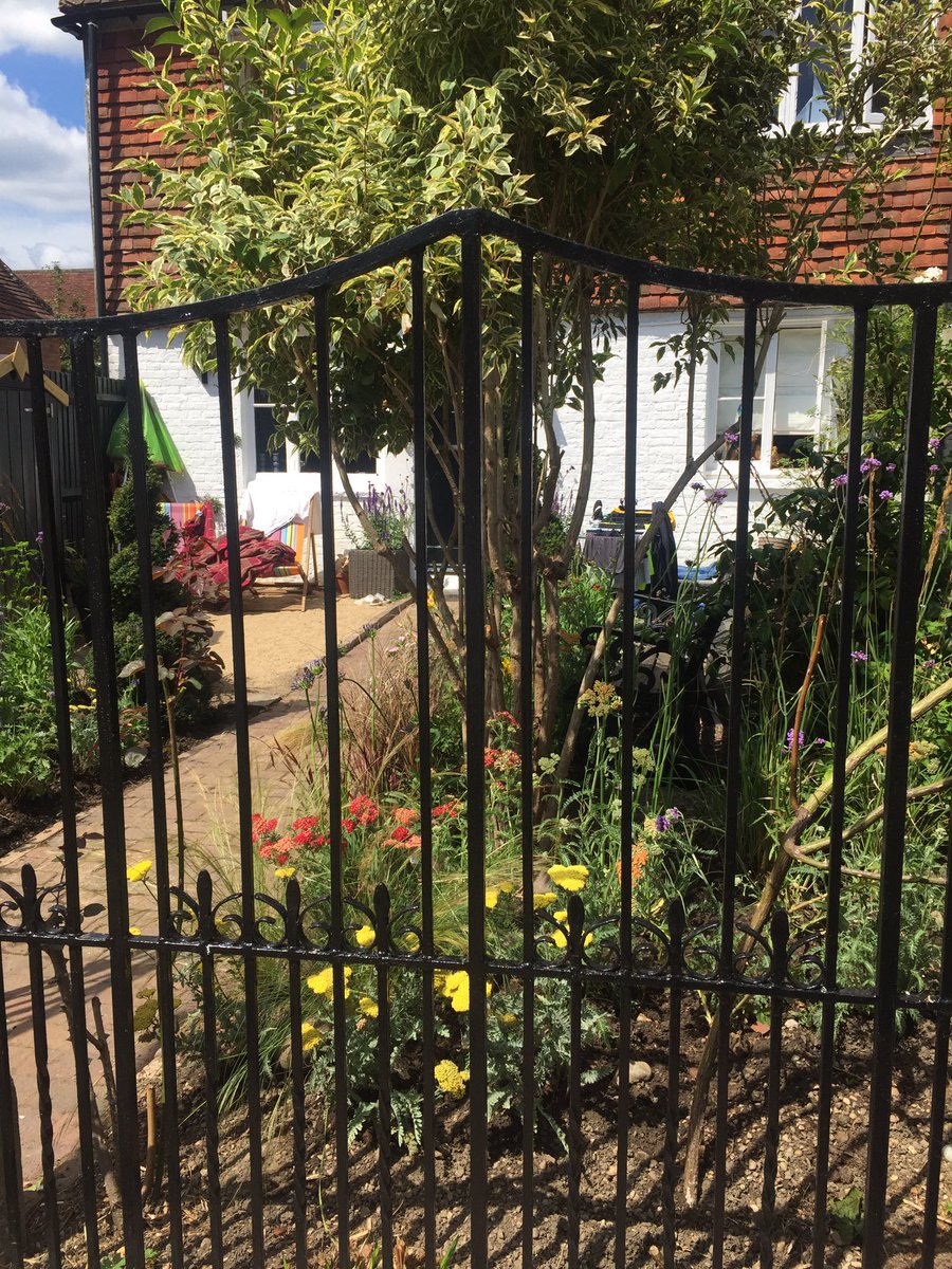 When you move a show garden to a garden. Funny how the colours ‘pop’ when situated on the right aspect. 😂🙄 RHS planning take note.