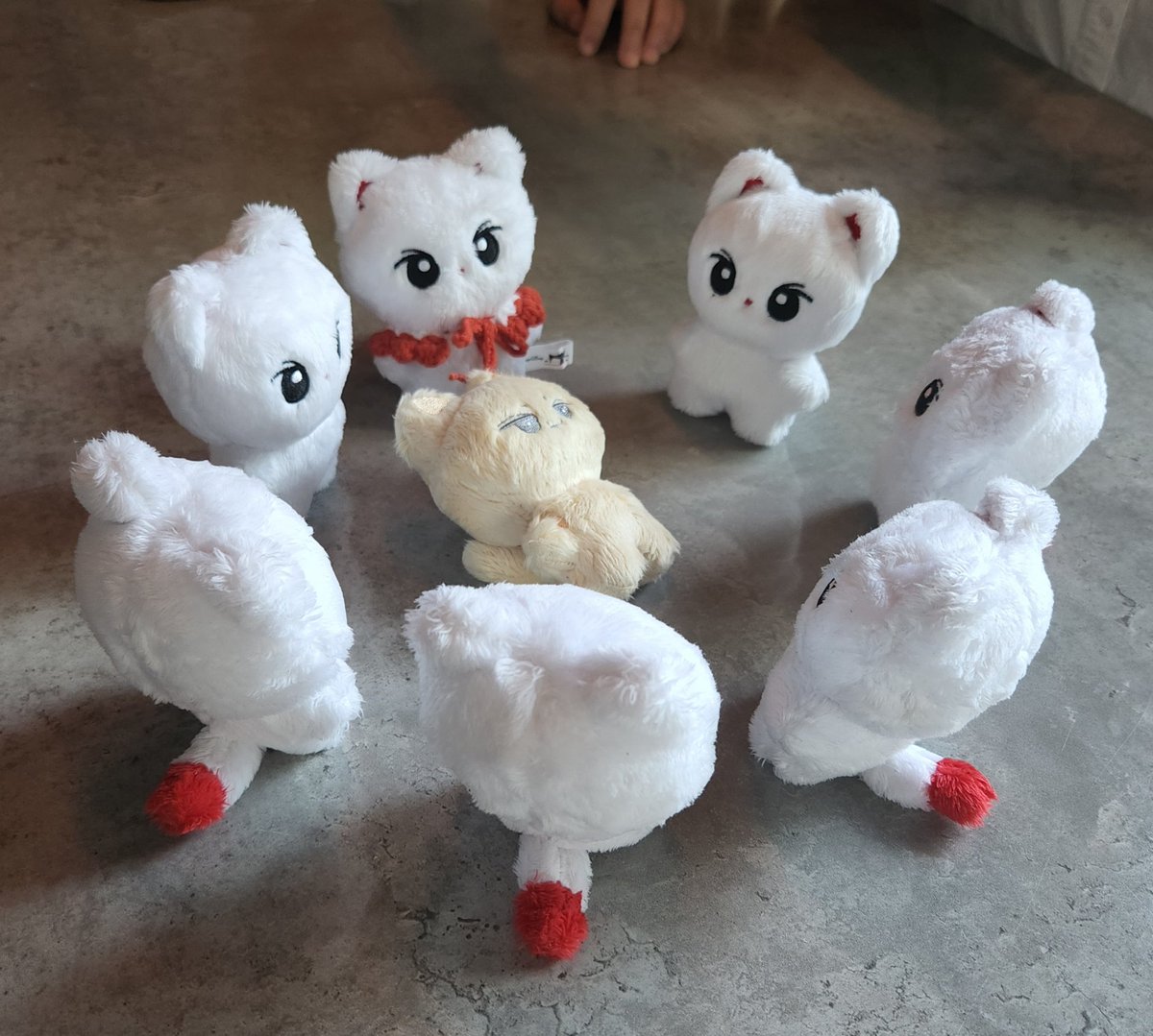 닭으로가에서 만난 체리단들과 카페~~2차~~노래방까지! 오늘 좋아하는 사람들과 내오빠의 생일을 축하해줄 수 있어서 넘 좋았어🥳🥳

#닭으로가_려다_희철로가
#희철_생일엔_다들_체리업
#우주대스타_희님_두번째_스무살