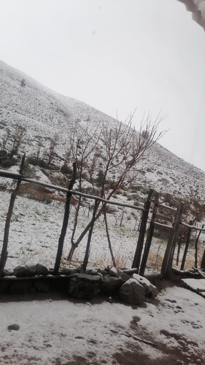 denis_cortes's tweet photo. Así amanecieron hoy algunas localidades de nuestra comuna #Illapel tras la lluvia y nieve 🌧️❄️ #ElPiche #LosPerales #Cespedes 🥰 @MUNI_ILLAPEL @MeteoLaSerena @ceazamet https://t.co/jSye2CBgWp