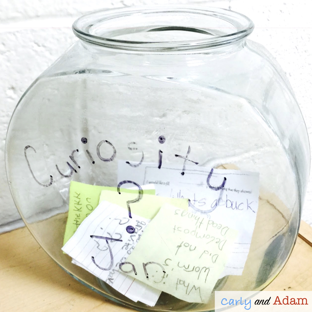 "The curiosity jar validates the questions that your students ask, provides time for necessary research, and saves valuable lesson time!" 

Here's how via Ts <a href="/carlyandadam/">Carly And Adam</a>: 

carlyandadam.com/thecarlyandada…