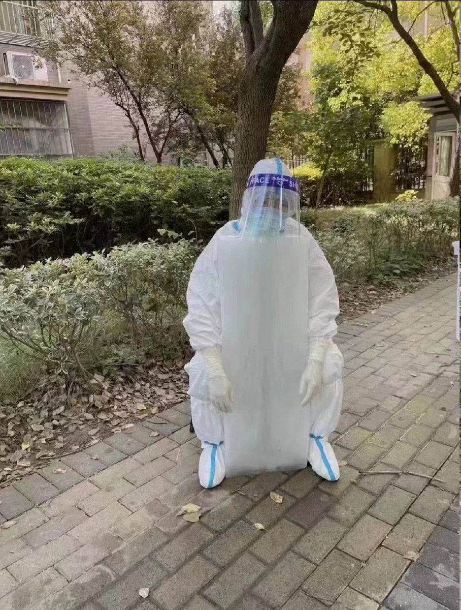 lingli_vienna's tweet photo. Shanghai, 40°C

A white-suit hugging a block of ice during a break https://t.co/II9xwHrPc9