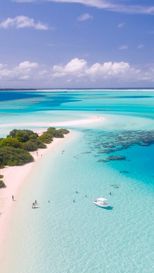 Memories🌞 are made🏖️ in flip-flops🩴🌴