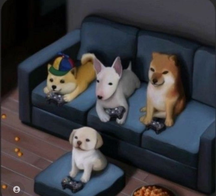 sir_cheems's tweet photo. Wimsh you a very happy sunday #dogearmy, let's tip some of our hard wormking dogecoin devs on this weekend, I start with some new devs I found on twitter, #TipEveryday 🤩🚀🐶❤️
@MyDogeTip tip @naveen6802 Ð2.420
@sodogetip tip @alamshafil 2.420 doge https://t.co/jveuHfU1XO