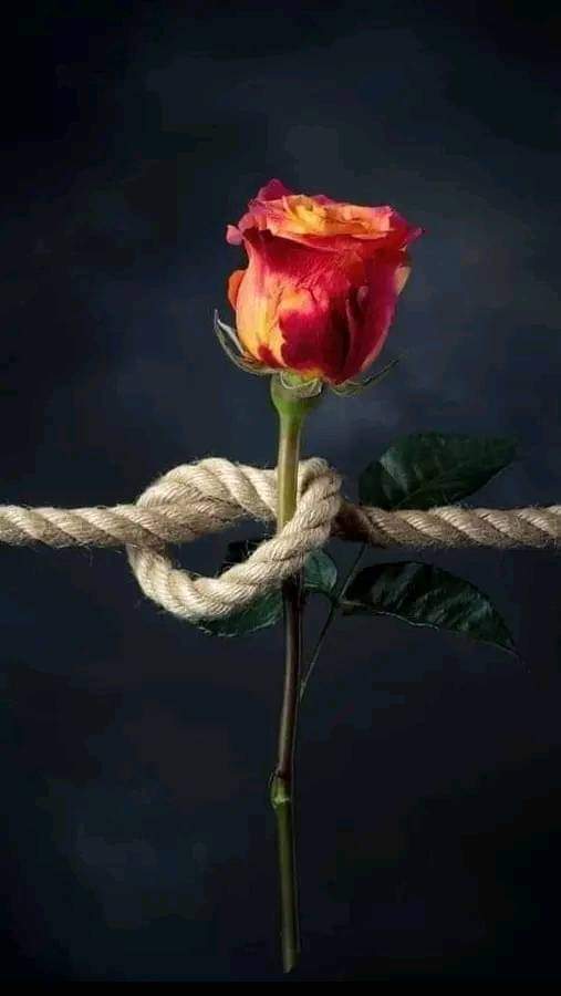 #نجران_الان
 في هذه الحياة ... 
 تبيّن أن كل من نهتم لأمرهم ... 
  يقابلك جفاء قلوبهم ... 
 لا تجهضوا زهرة الحب قبل الميلاد ...