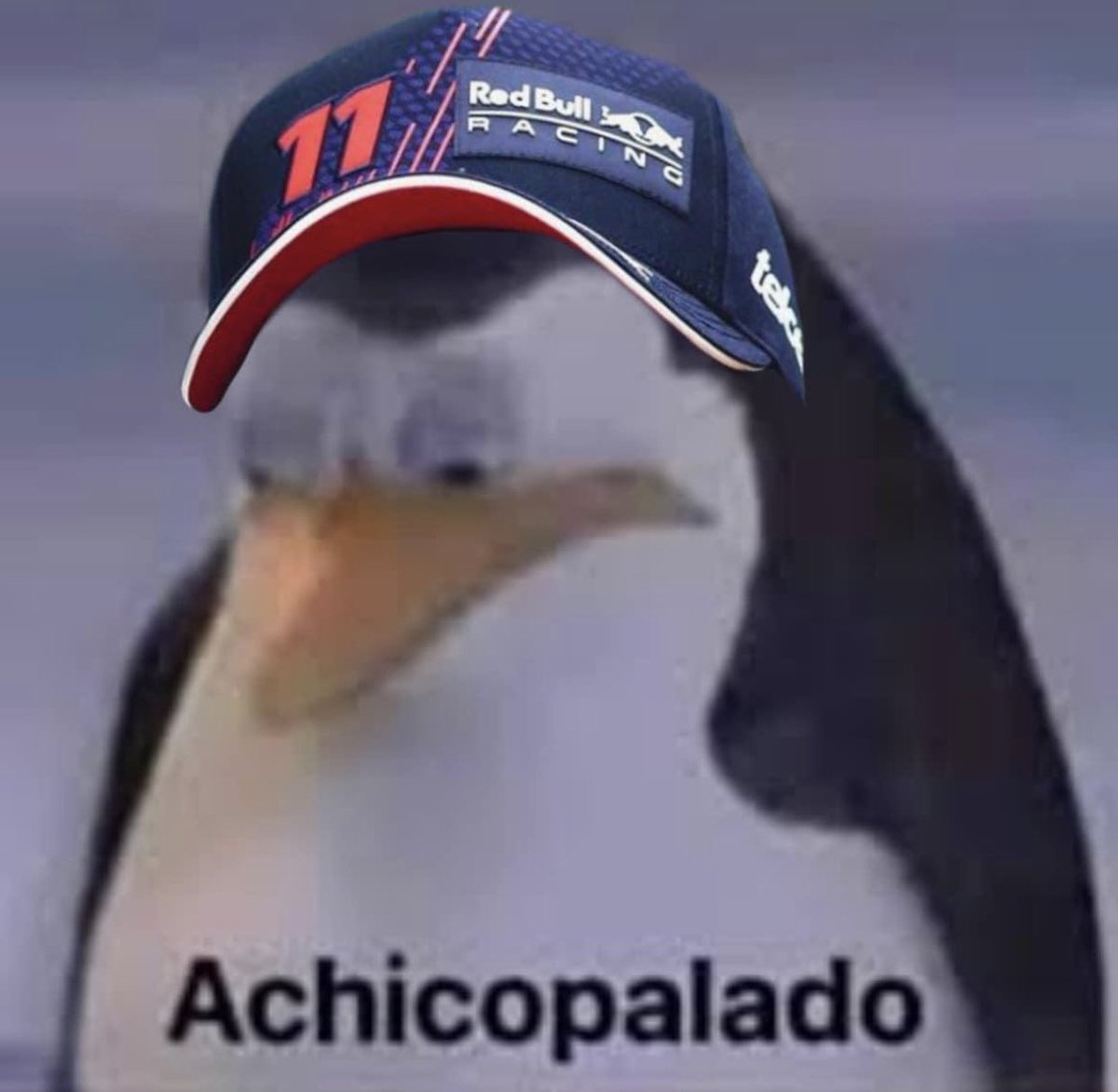 Manuel O´Hara tweet media