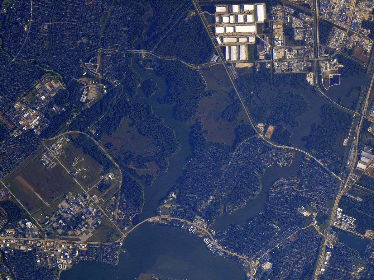 Good morning <a href="/armandbayou/">Armand Bayou Nature Center</a>! Thanks for your stewardship of a beautiful patch of coastal land! <a href="/TXGCMN/">TX Gulf Coast Master Naturalist</a> <a href="/TexasMasterNat/">TX Master Naturalist</a> <a href="/txextension/">Texas A&M AgriLife Extension Service</a>