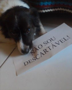 💫 Beco Do Pensador™ Viνíэη ← 🌸 (@becodopensador) on Twitter photo 