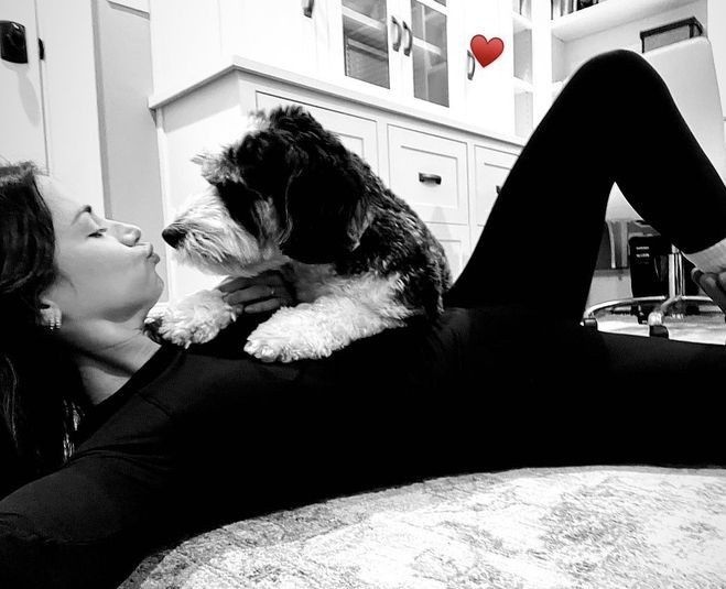 FreyjaDearden's tweet photo. 🐾♥️ https://t.co/O2Be2WldXE