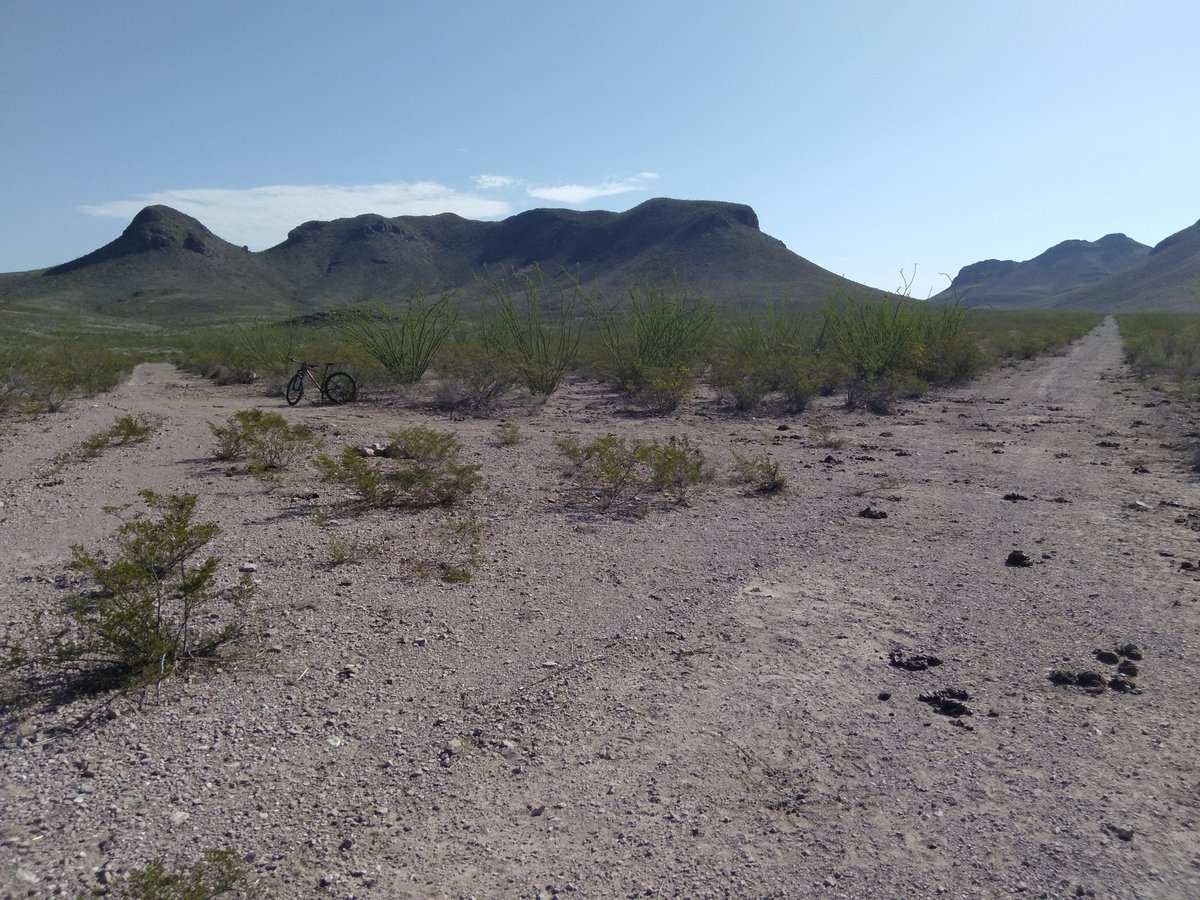 Rod_Mat_'s tweet photo. #SundayTrainning
#WildcatsTeamMTB🚵
#ChihuahuaDesert🏜
#107kms 🚵
#Rango 🦎 https://t.co/RMmgycw4Et