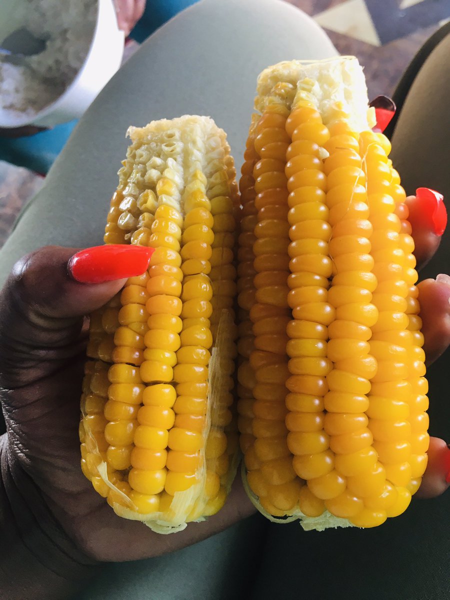 Extrovertedbea1's tweet photo. Caption for this combination? https://t.co/Rx26oERWCT