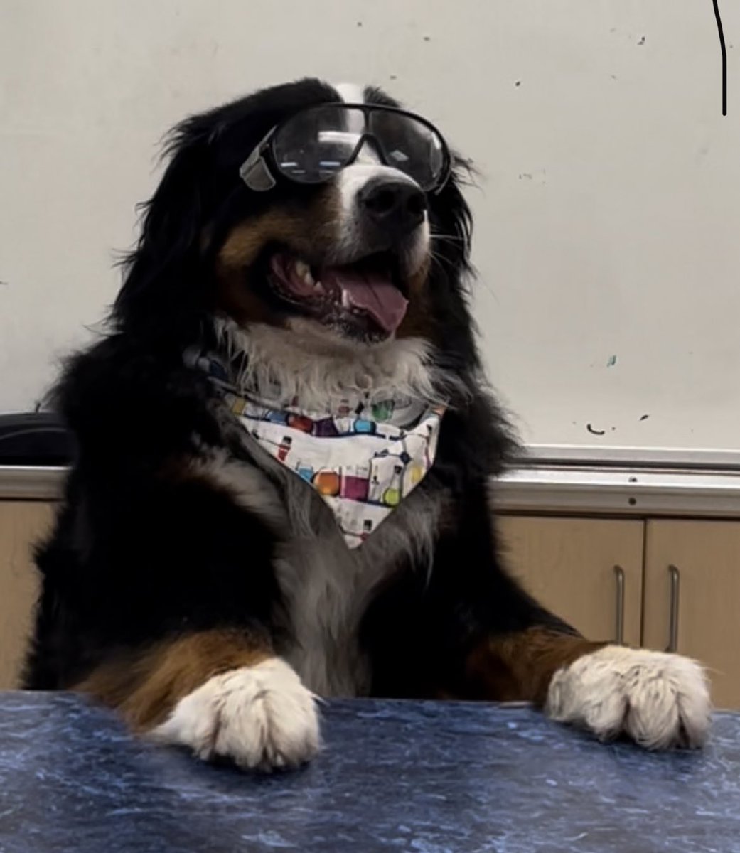 Why is everyone involved in space science tweeting and making Tik Toks about these new space pictures coming in on Tuesday???
Find out why on:
THE SUPER AWESOME SCIENCE THREAD
#TSAST #JWST