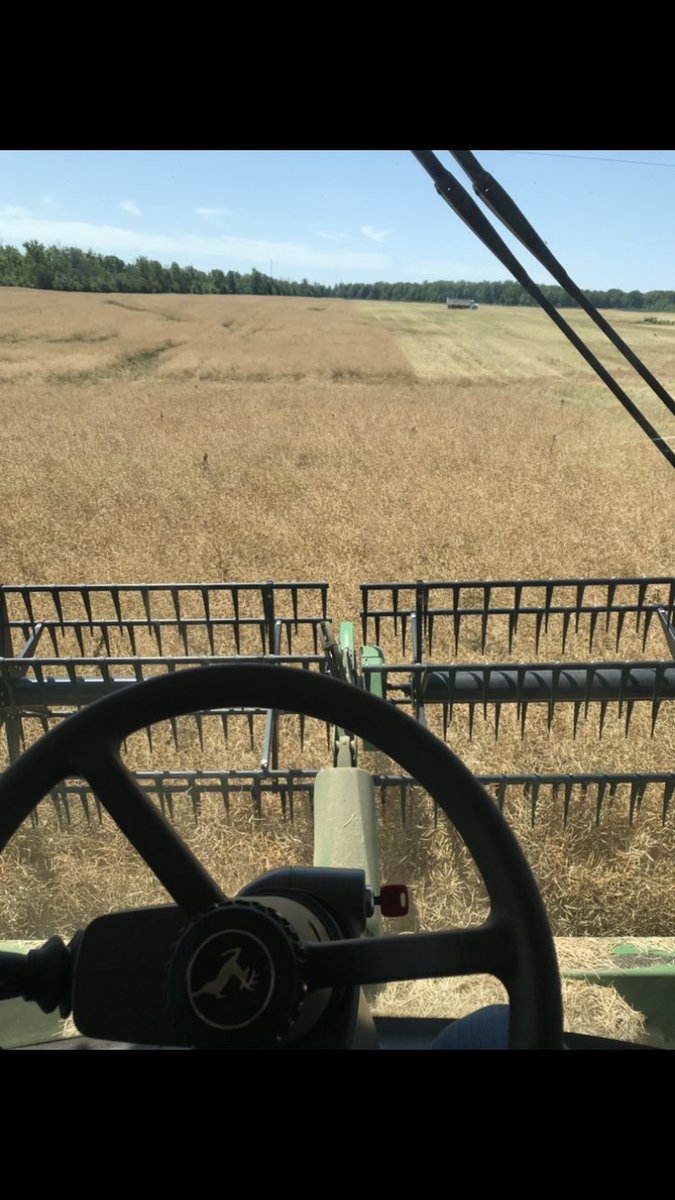 Planting double crop beans after our first ever Canola harvest. Chasing <a href="/Darryl14Smith/">Darryl Smith</a> in the combine. Just need a rain sometime 🤞